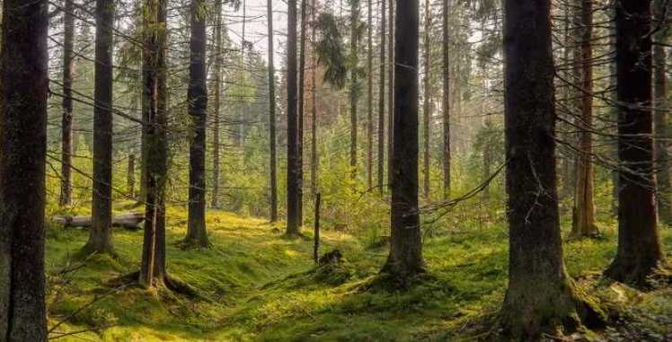 Rätsel