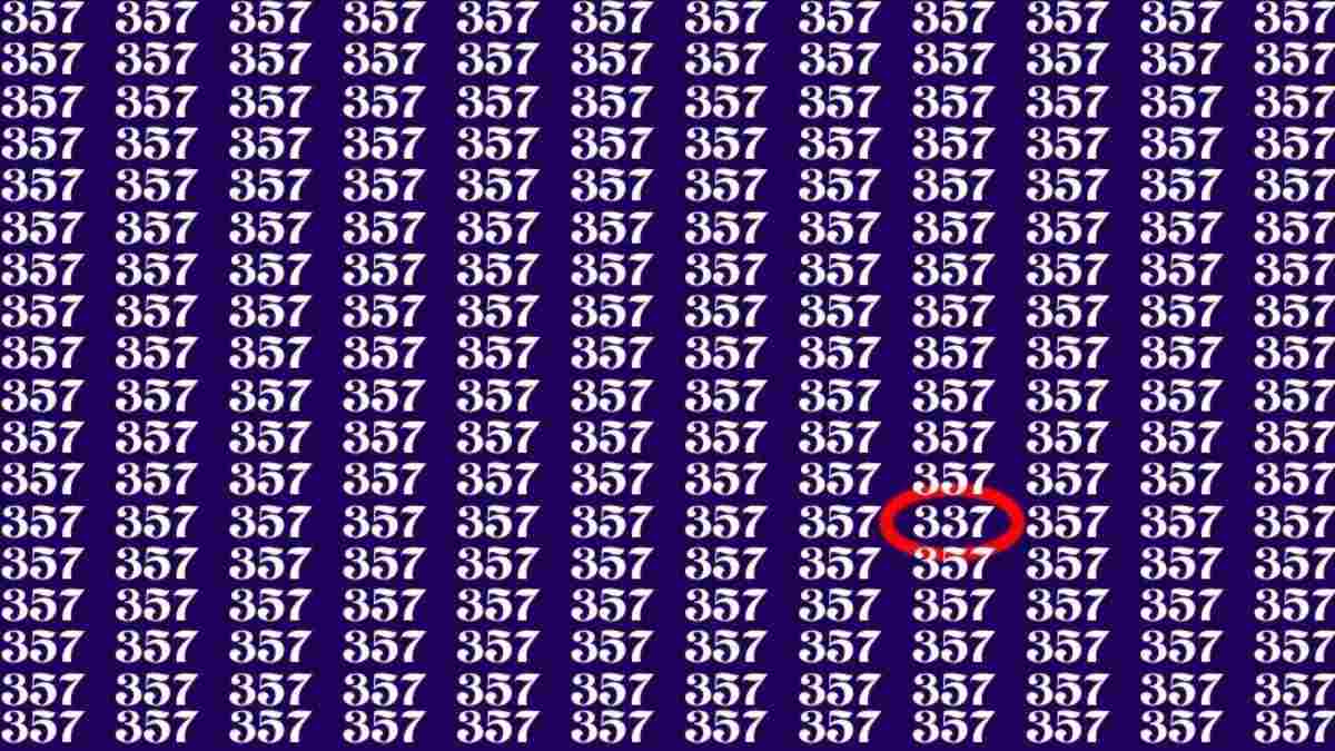 Ainult kõige tähelepanelikumad leiavad numbri 337: optiline illusioon geeniustele