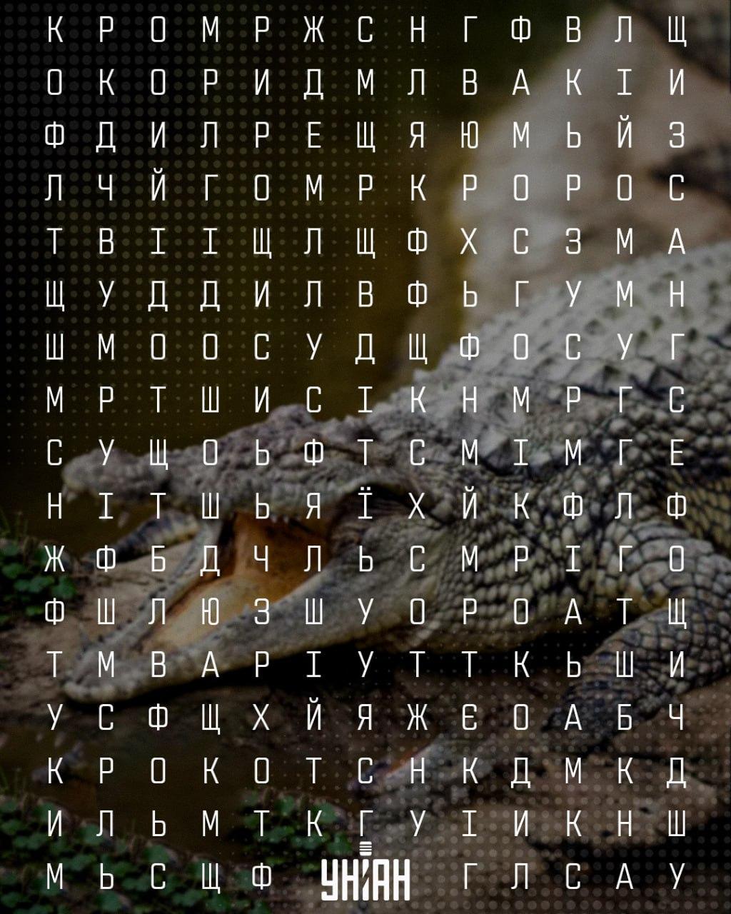 Moje kollaaž
