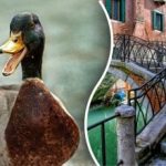 Leia pildil olev part 10 sekundi jooksul: ainult mõned inimesed