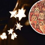 Optiline illusioon kotkasilmaga inimestele: sa pead leidma tähe kasside hulgast